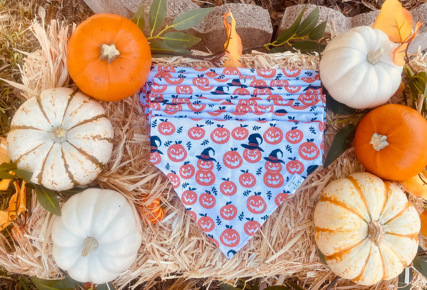 White Pumpkin Bandana