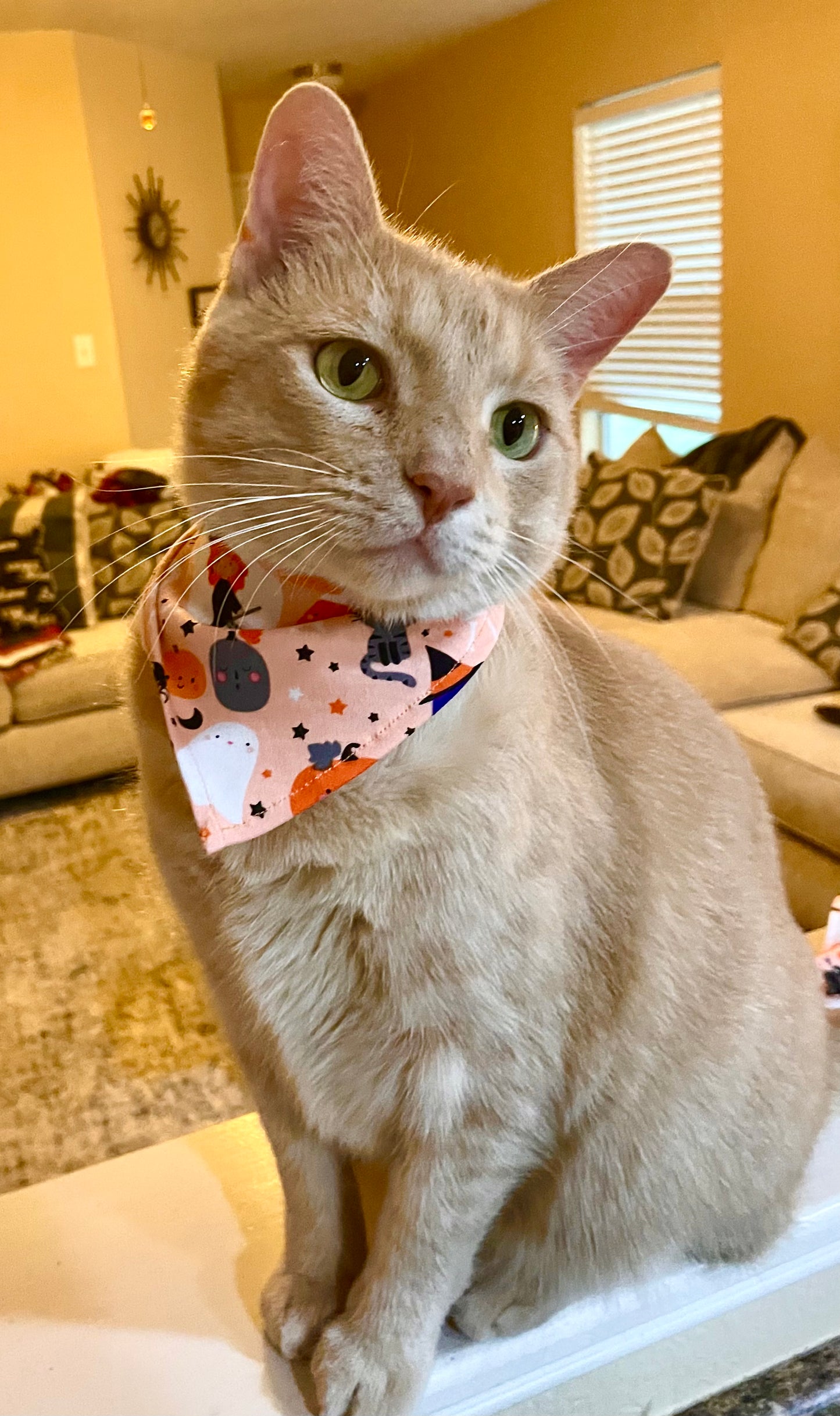 Peach Halloween Bandana