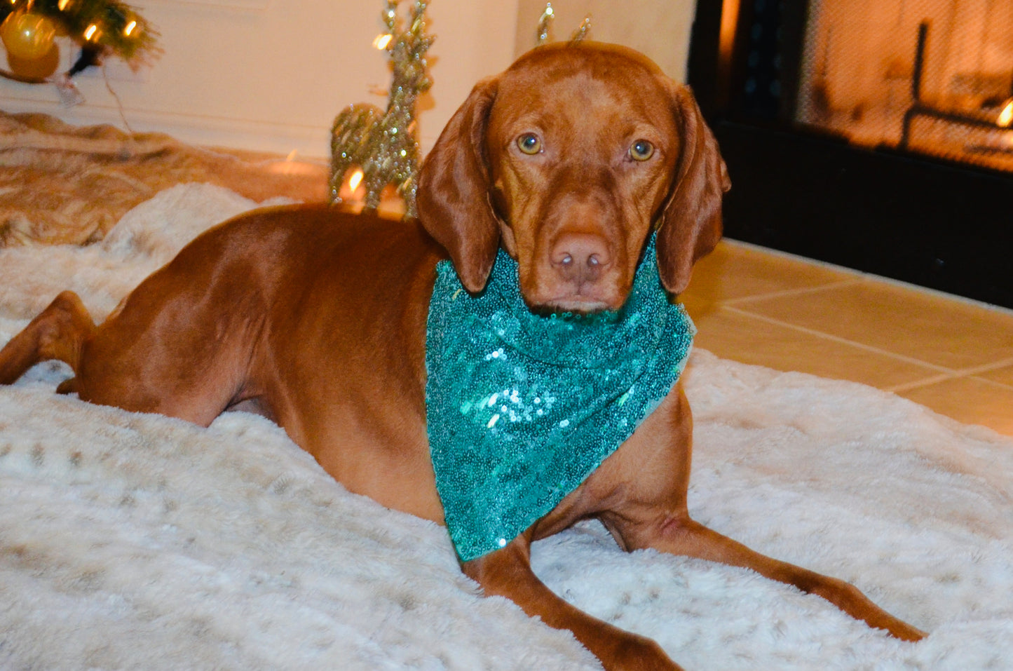 Green Sequin Bandana