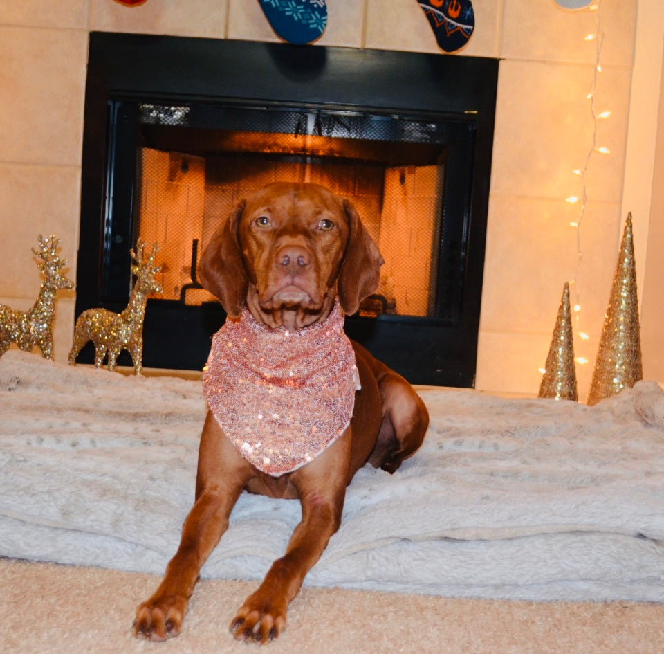 Rose Gold Sequin Bandana