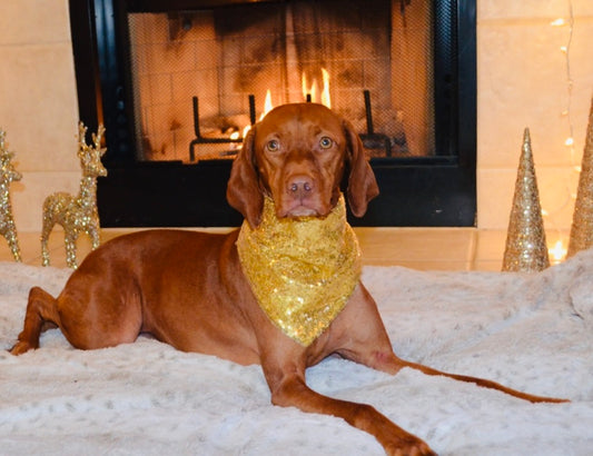 Gold Sequin Bandana