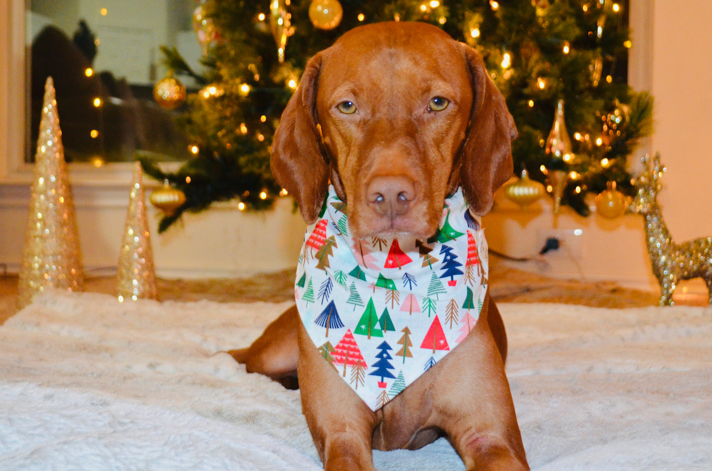 Multicolored Christmas Tree Print Bandana