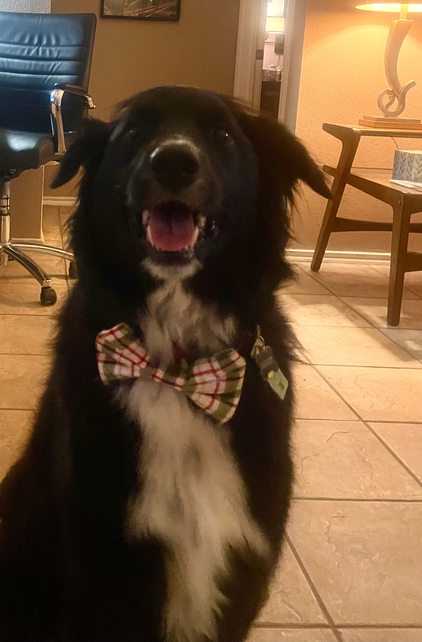 Green Plaid Bow Tie