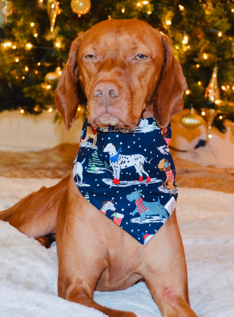 Dogs in Winter Wonderland Bandana