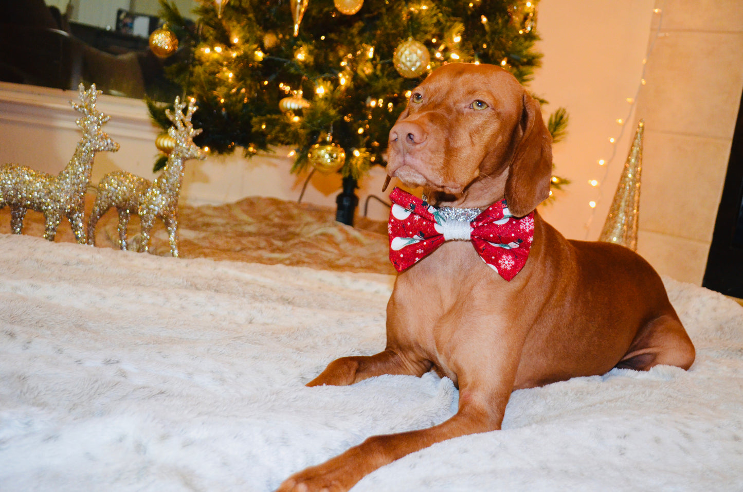 Red Snowman Print Bow Tie