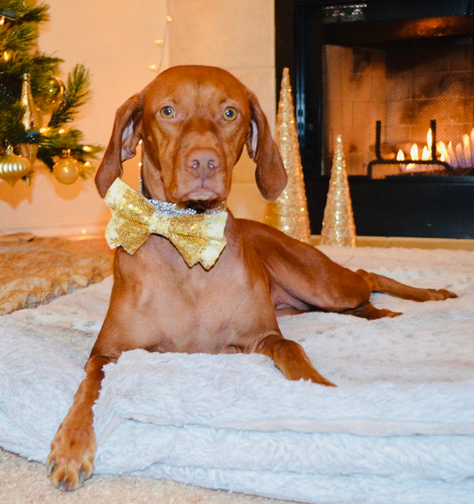 Gold Snowflake Sequin Double Bow Tie