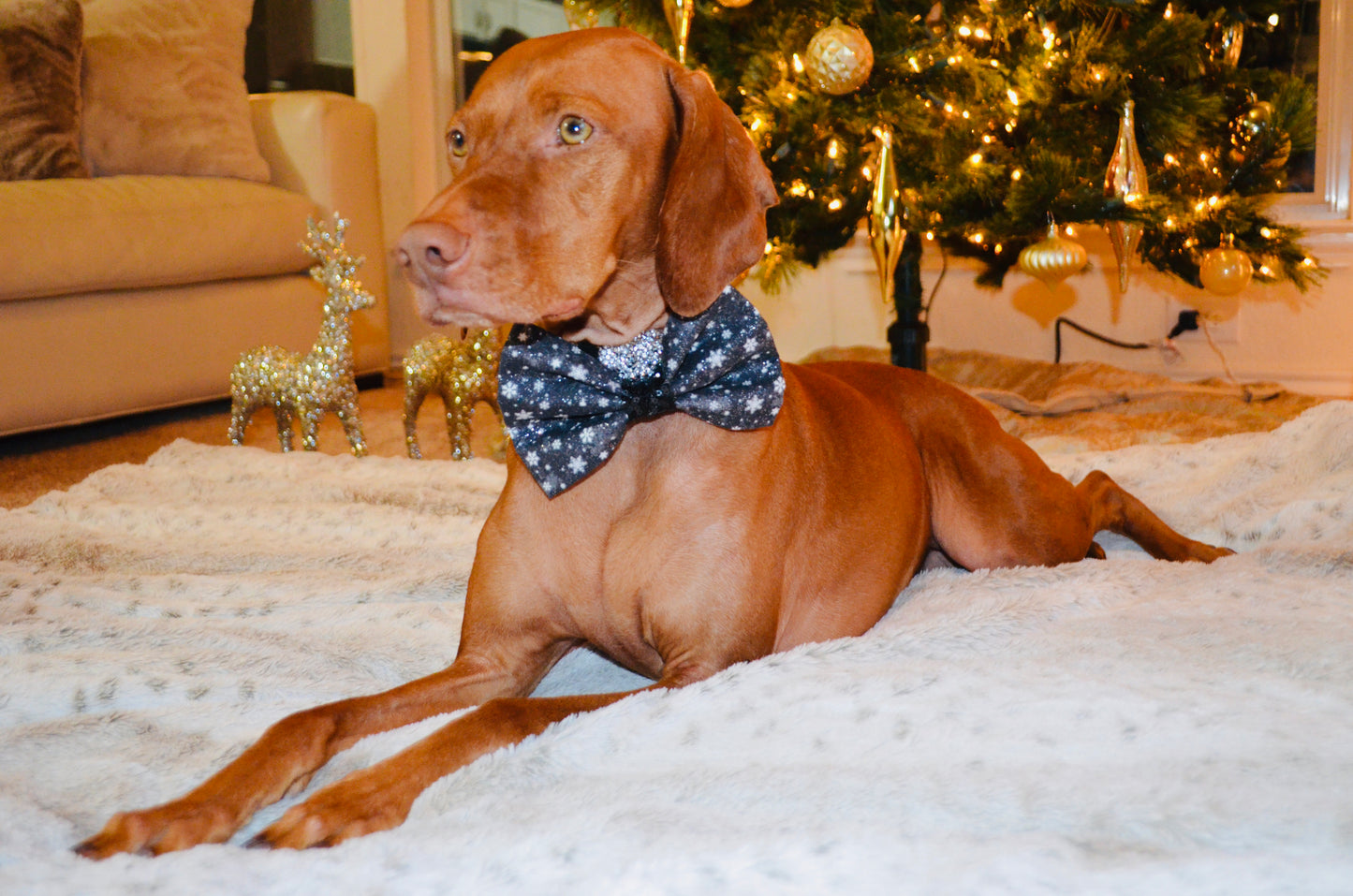 Black Silver Snowflake Print Bow Tie