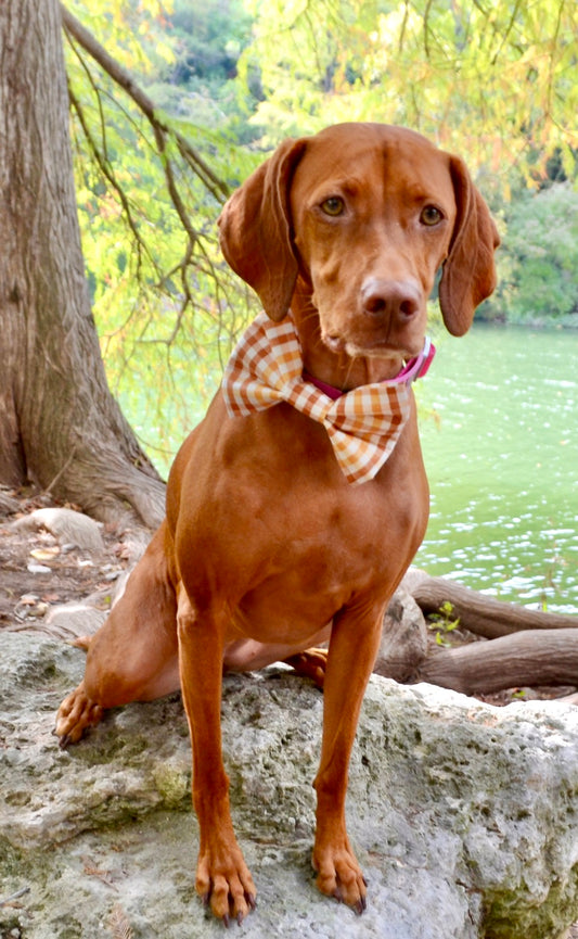 Orange Brown Plaid Bow Tie