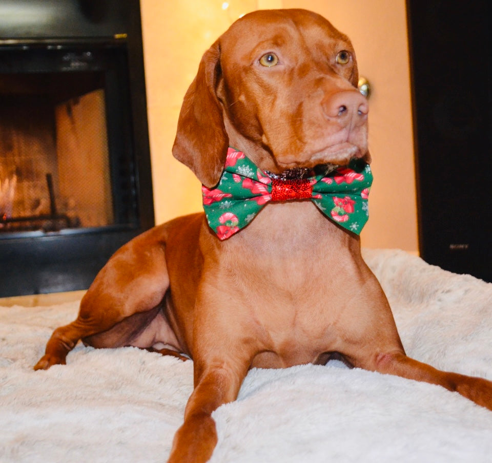 Green Candycane Print Bow Tie