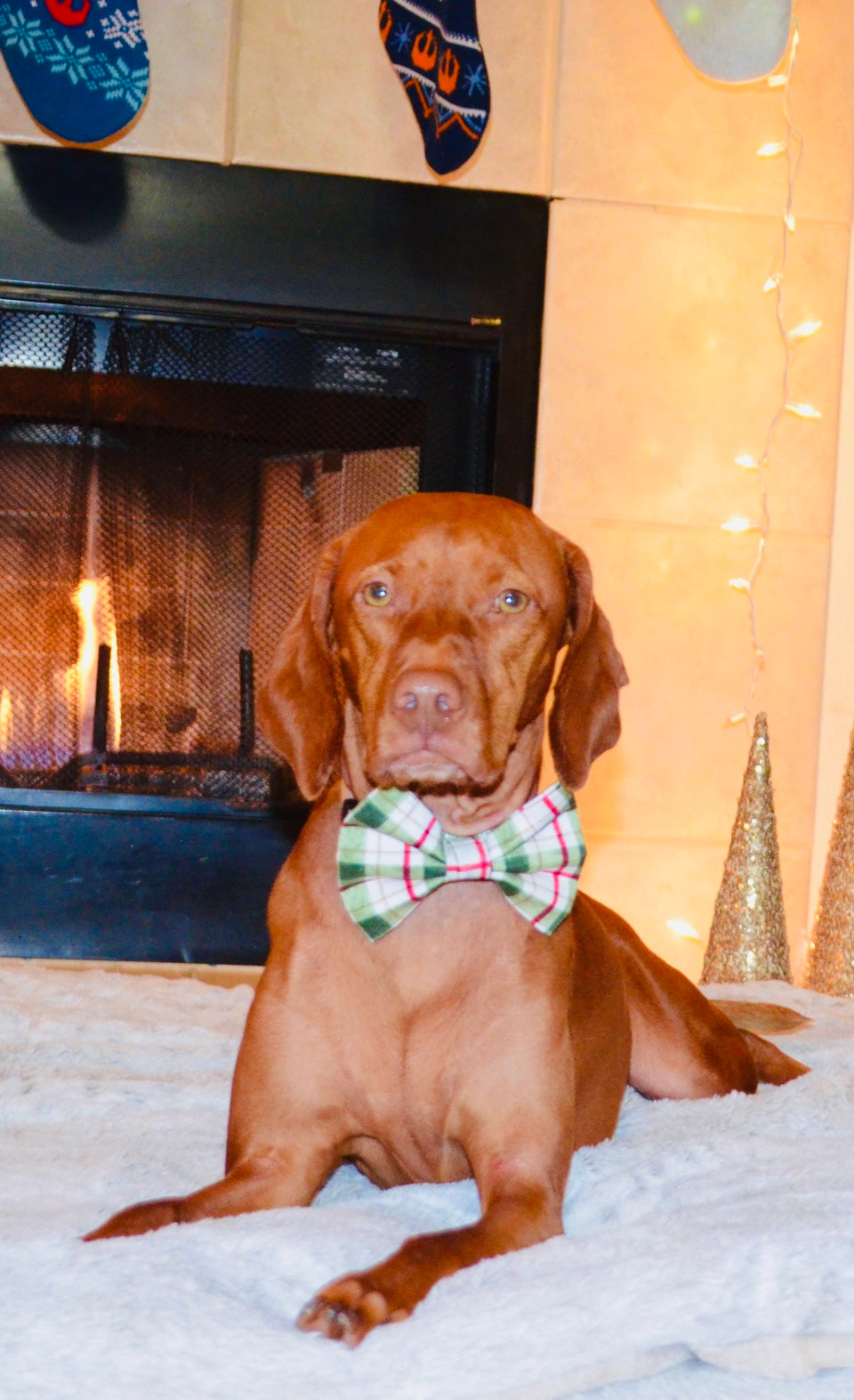 Green Plaid Bow Tie