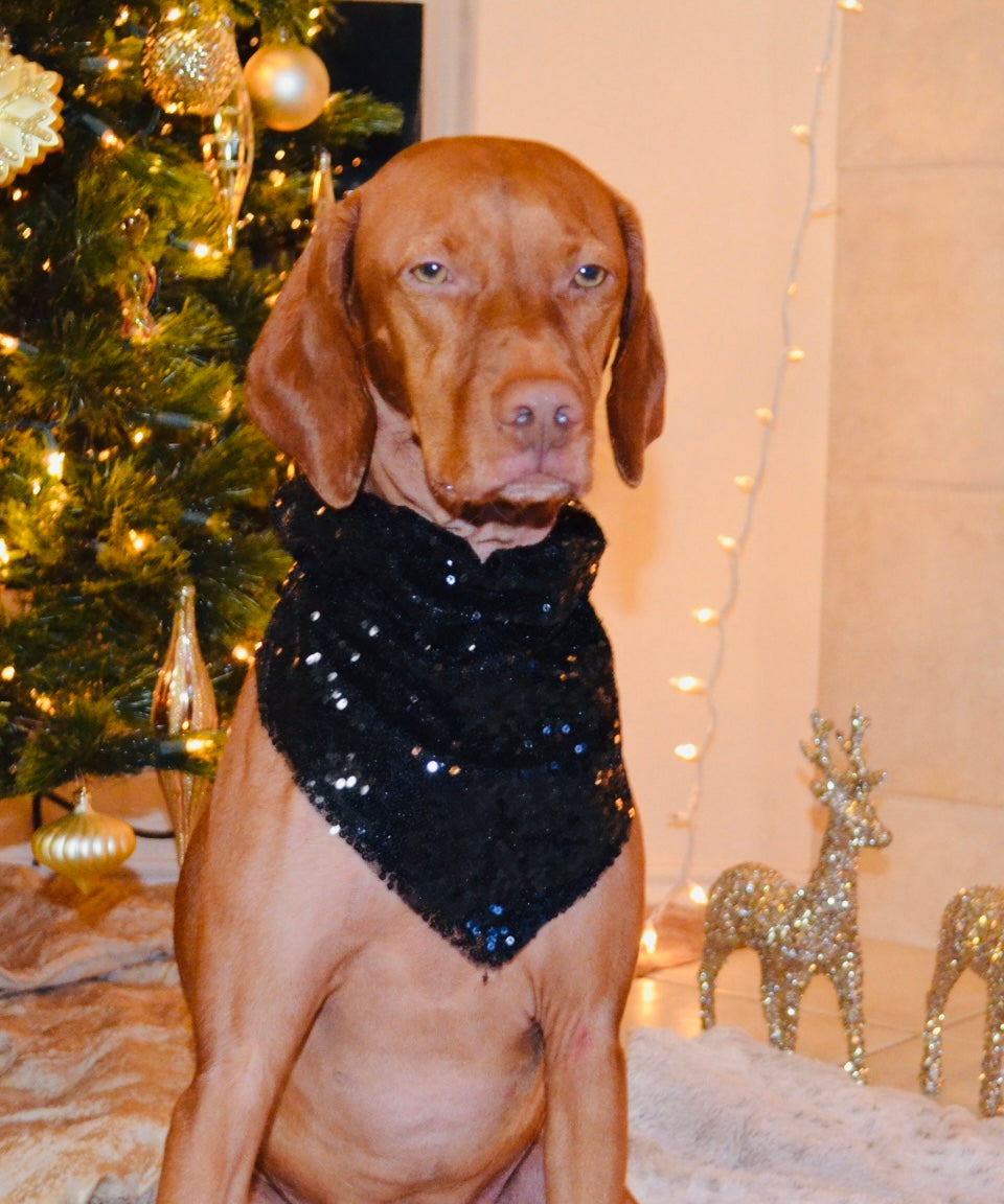 Black Sequin Bandana