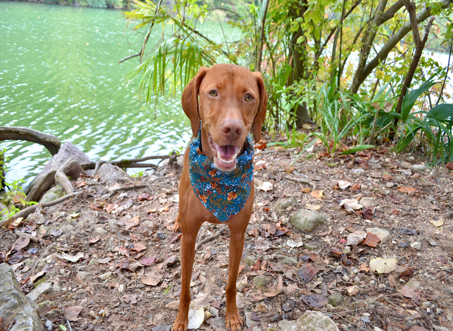 Dark Teal Floral Fall Bandana