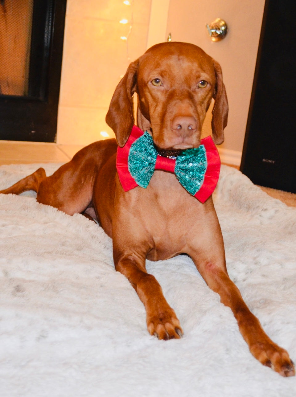 Red Green Sequin Double Bow Tie