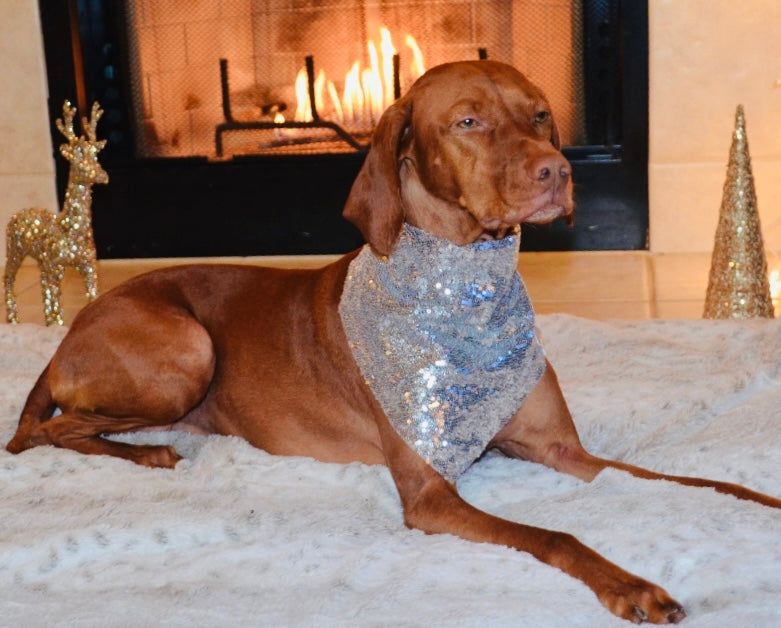 Silver Sequin Bandana