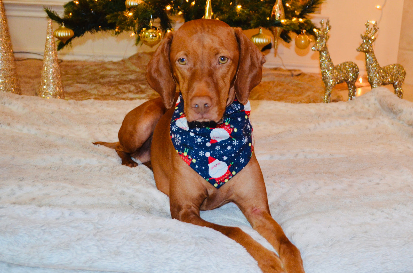 Blue Santa Print Bandana