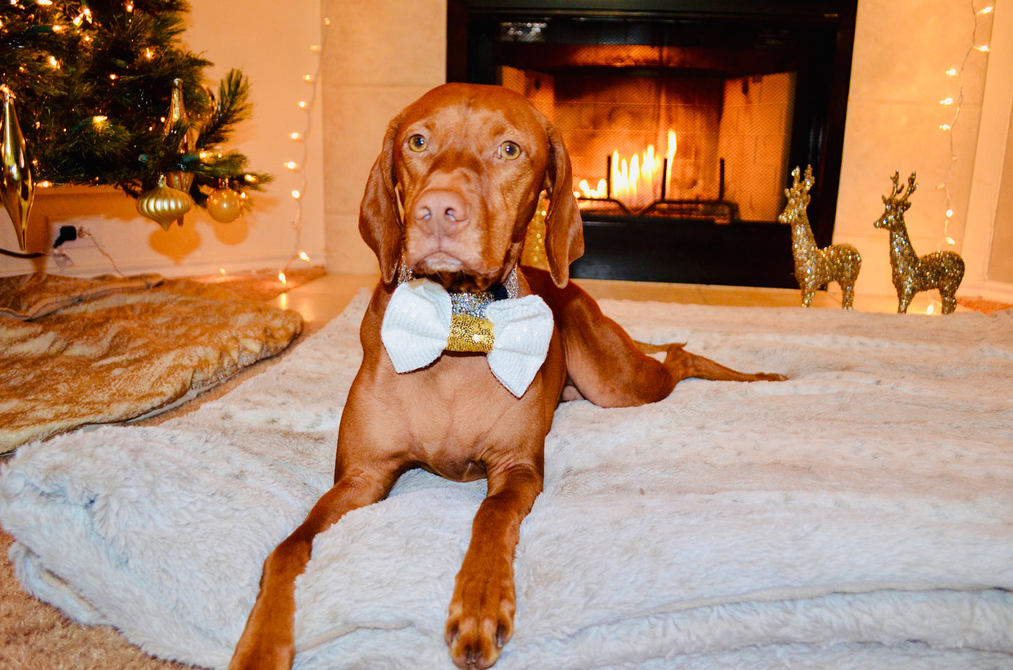 White Gold Sequin Bow Tie