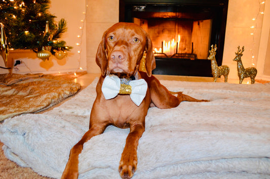 White Gold Sequin Bow Tie