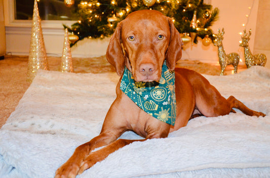 Green and Gold Christmas Print Bandana