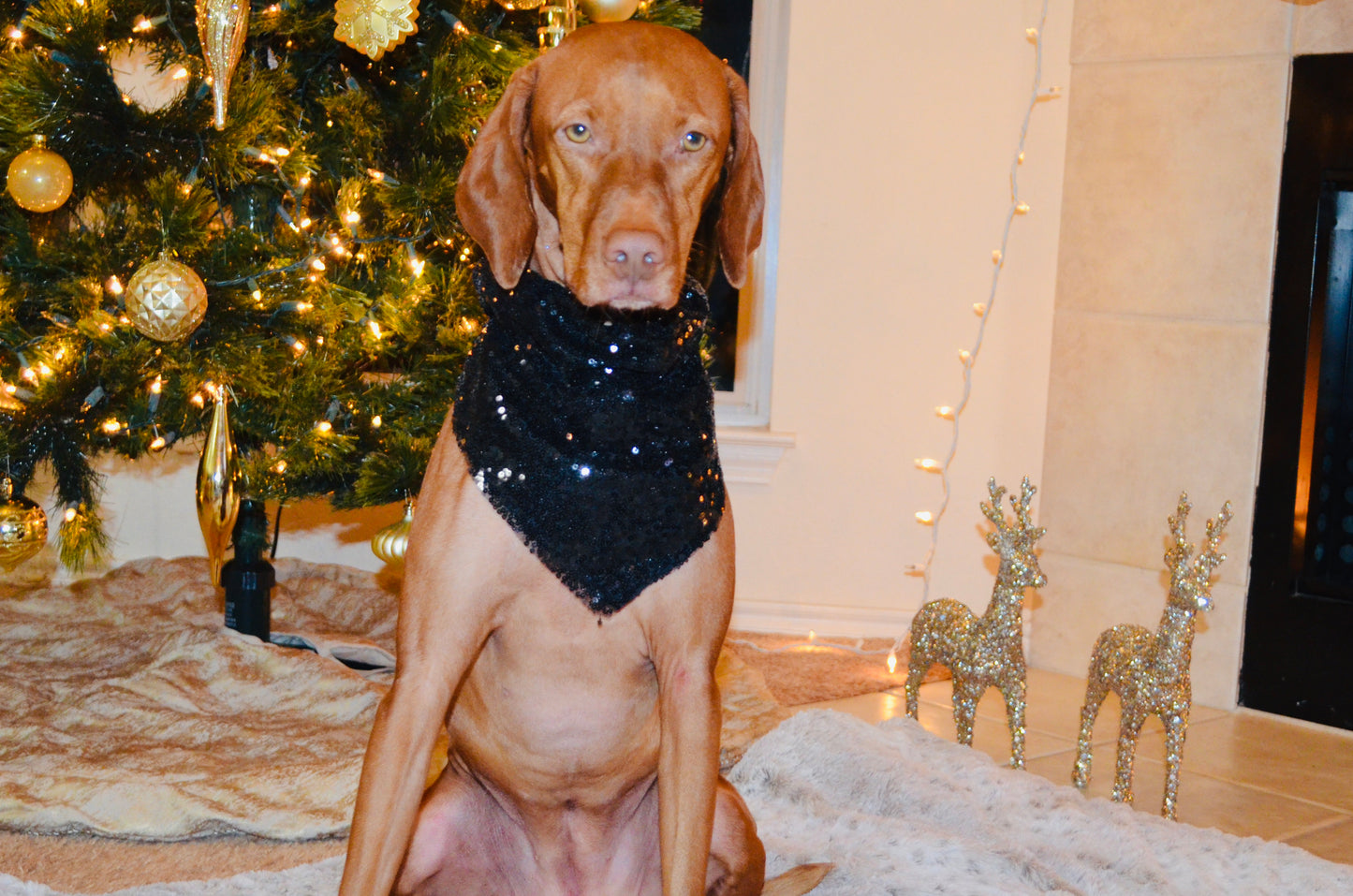 Black Sequin Bandana