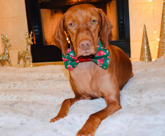 Green Candycane Print Bow Tie