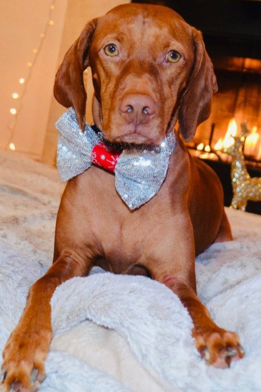 Silver Red Sequin Bow Tie