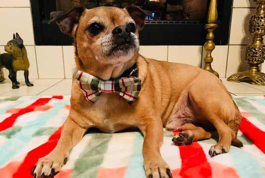 Green Plaid Bow Tie