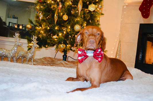 Red Snowman Print Bow Tie