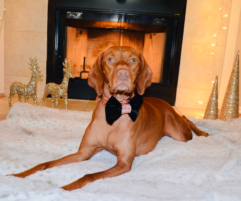 Black Velvet Rose Gold Sequin Bow Tie