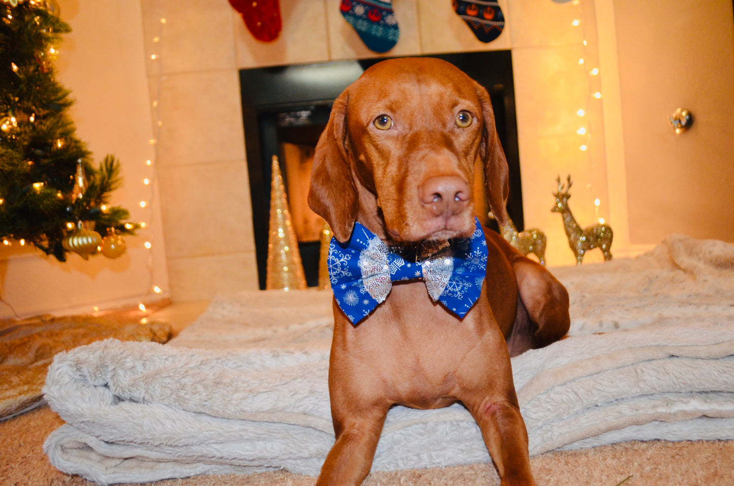 Blue Snowflake Silver Sequin Bow Tie