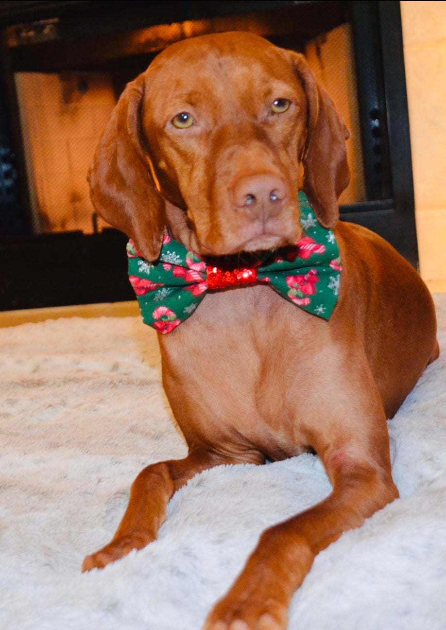 Green Candycane Print Bow Tie