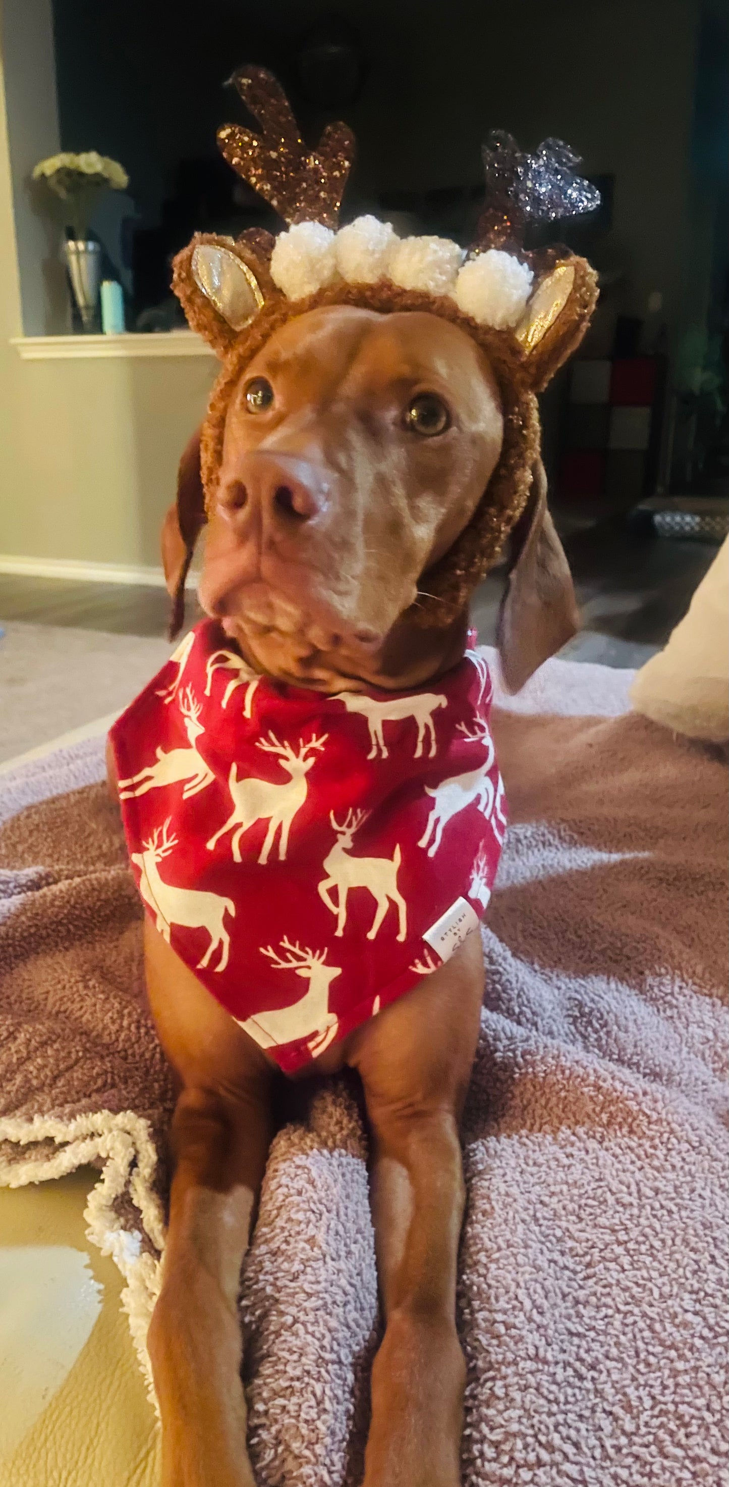 Reindeer Flannel Bandana